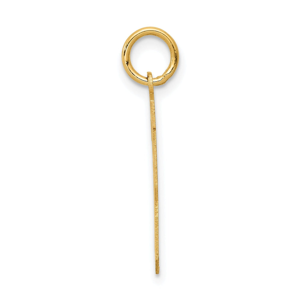 14k Yellow Gold Satin Brush Finish Medium Size Number 13 Charm Pendant