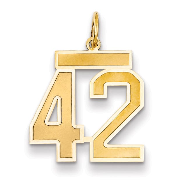 14k Yellow Gold Satin Brush Finish Medium Size Number 42 Charm Pendant