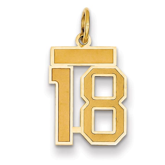 14k Yellow Gold Satin Brush Finish Small Size Number 18 Charm Pendant