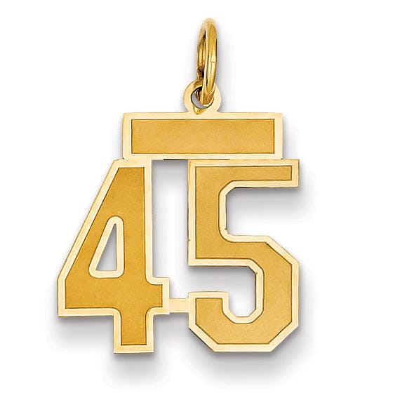 14k Yellow Gold Satin Brush Finish Small Size Number 45 Charm Pendant