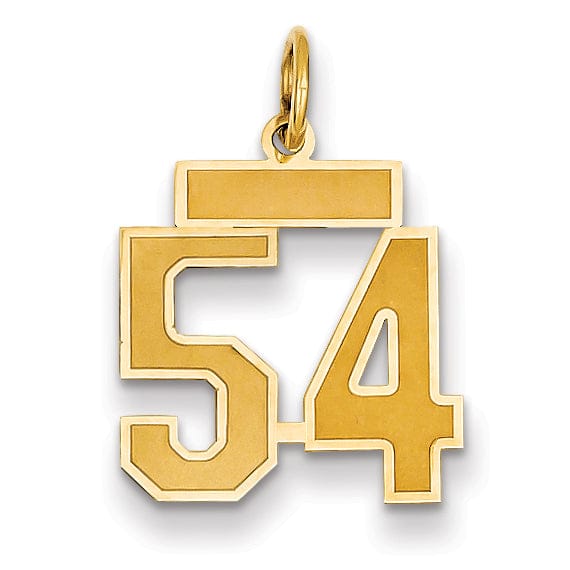 14k Yellow Gold Satin Brush Finish Small Size Number 54 Charm Pendant