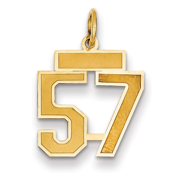 14k Yellow Gold Satin Brush Finish Small Size Number 57 Charm Pendant