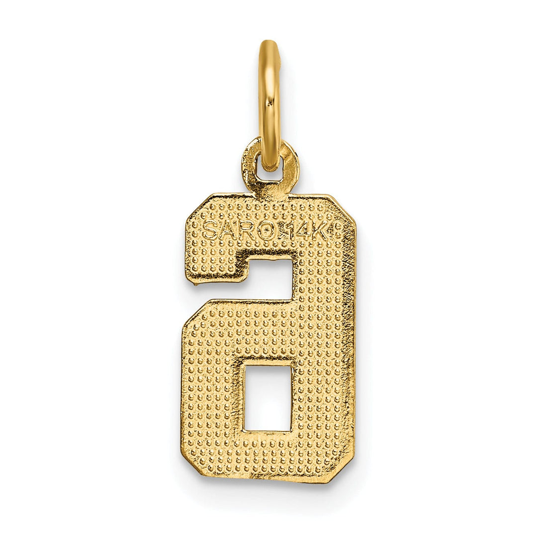 14k Yellow Gold Polished Diamond Cut Finish Small Size Number 6 Charm Pendant