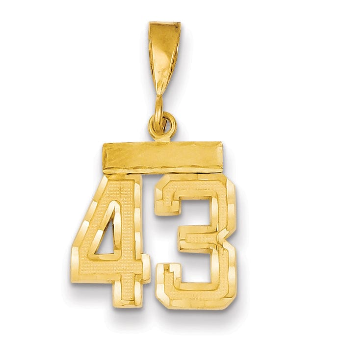 14k Yellow Gold Polished Diamond Cut Finish Small Size Number 43 Charm Pendant