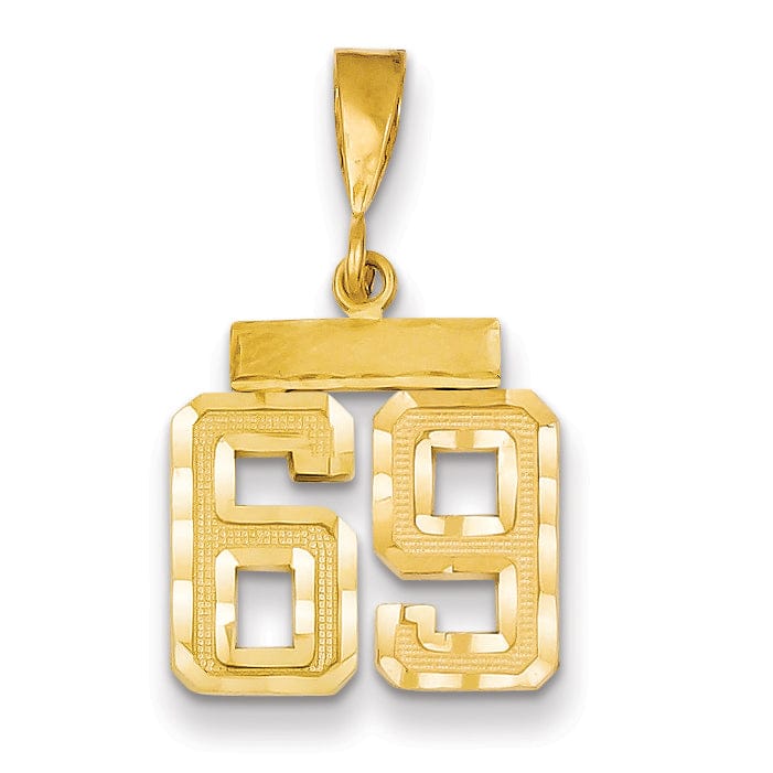 14k Yellow Gold Polished Diamond Cut Finish Small Size Number 69 Charm Pendant