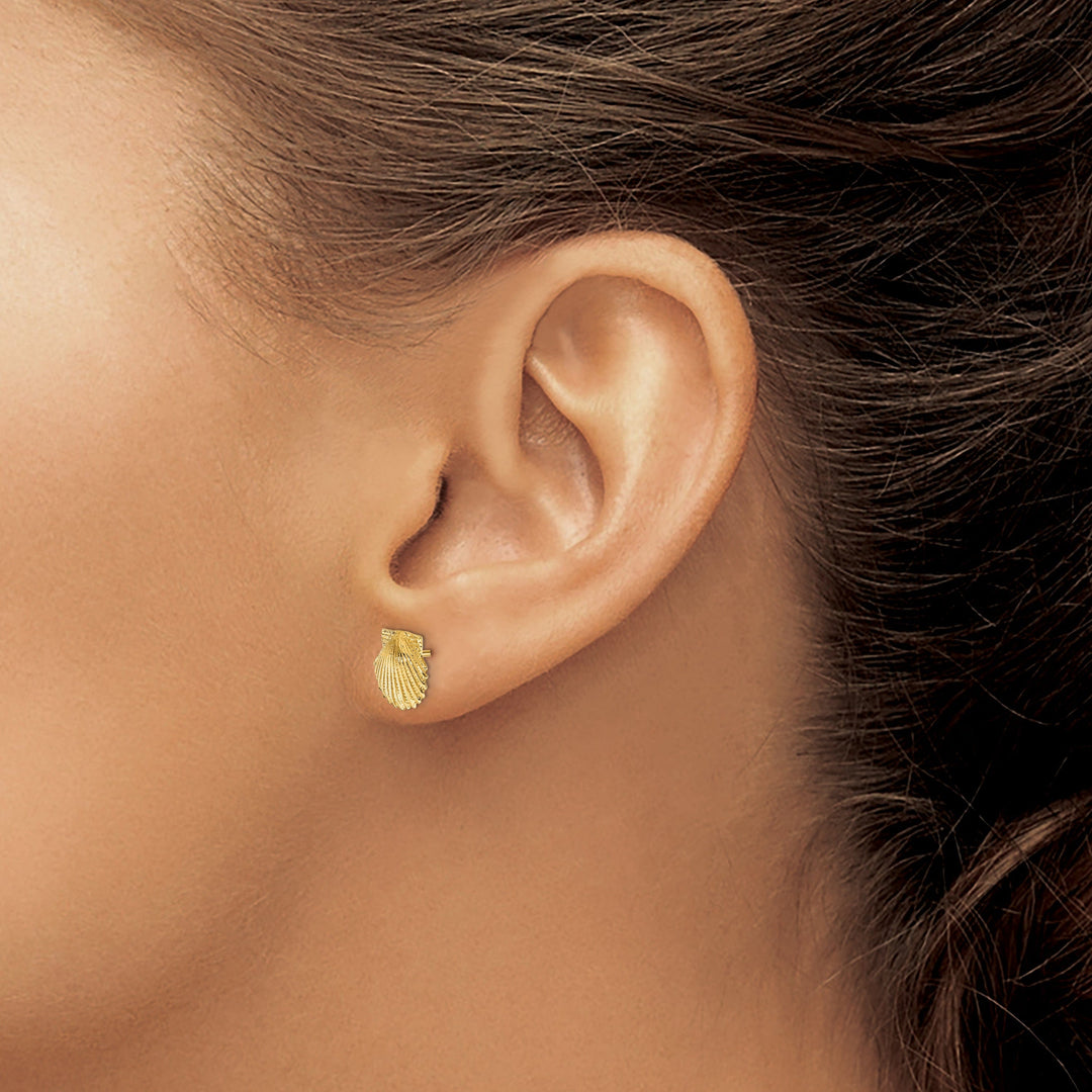 14k Yellow Gold Scallop Shell Post Earrings