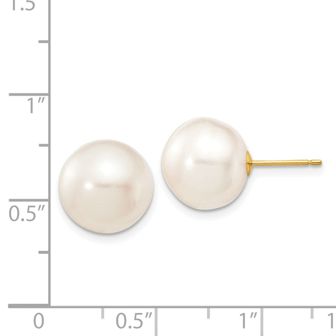 14k Yellow Gold White Button Pearl Earrings