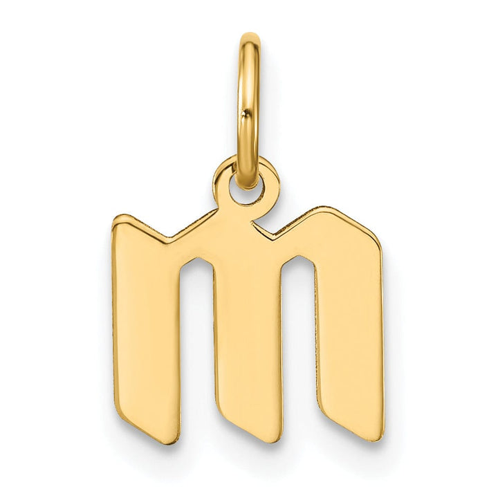 14K Yellow Gold Lower Case Letter M Initial Charm Pendant