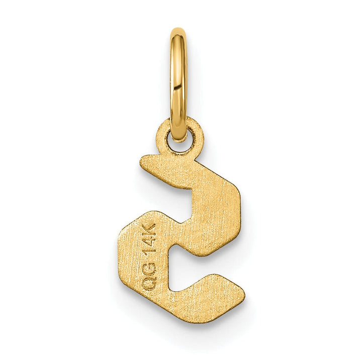 14K Yellow Gold Lower Case Letter S Initial Charm Pendant
