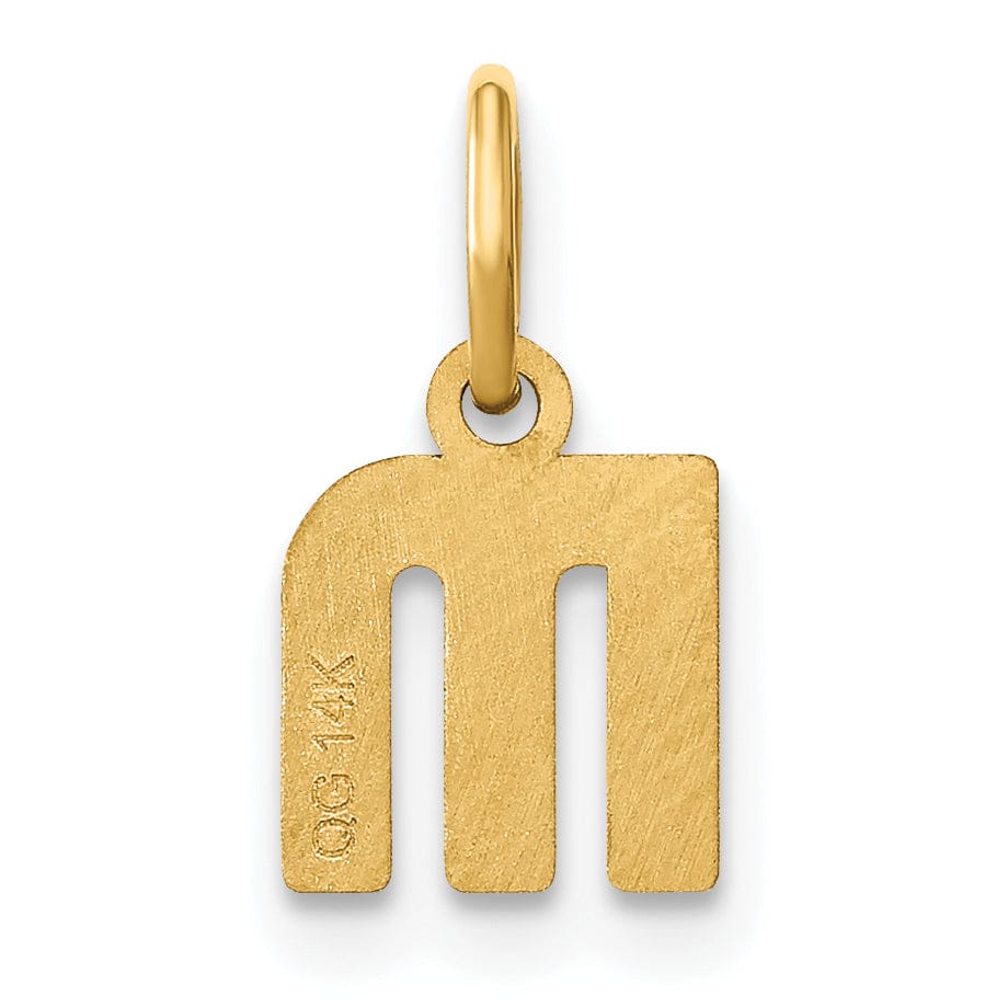 14K Yellow Gold Lower Case Letter M Initial Charm