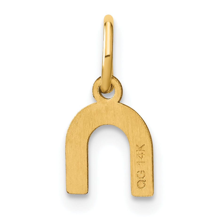14K Yellow Gold Lower Case Letter N Initial Charm