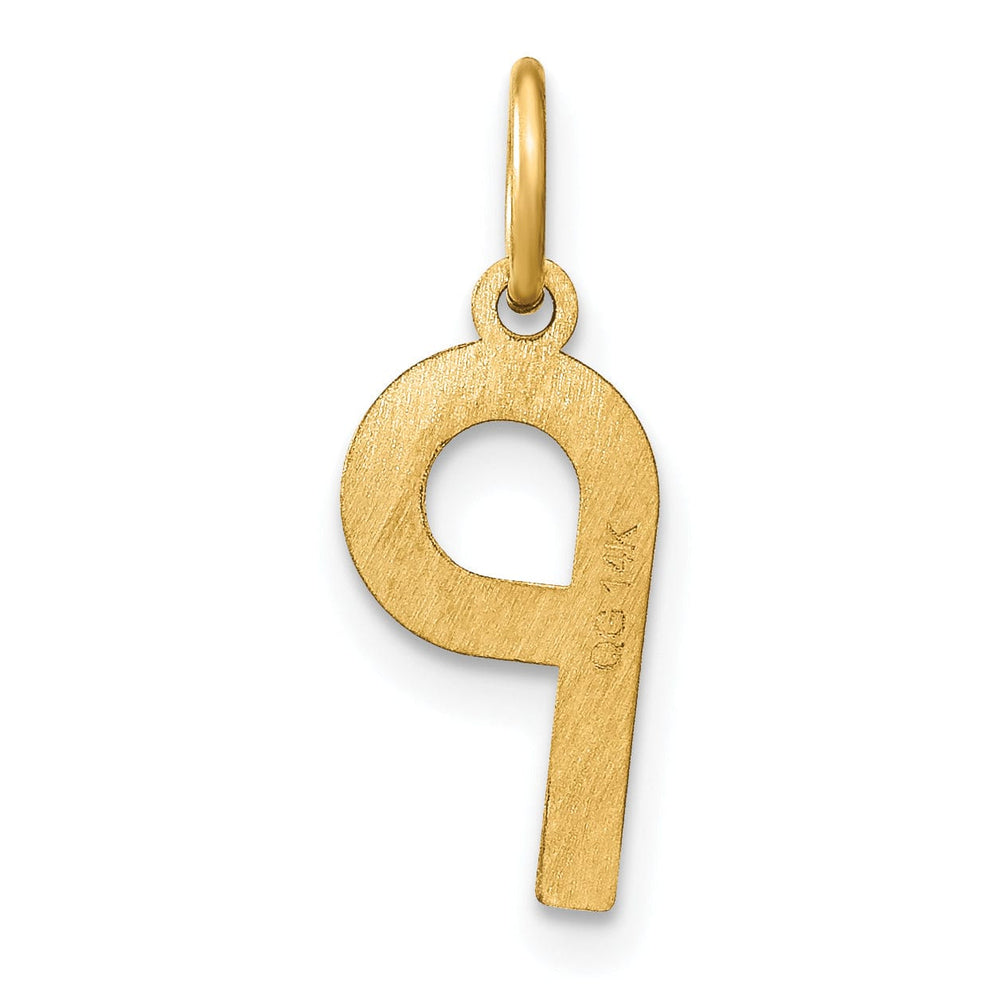 14K Yellow Gold Lower Case Letter P Initial Charm