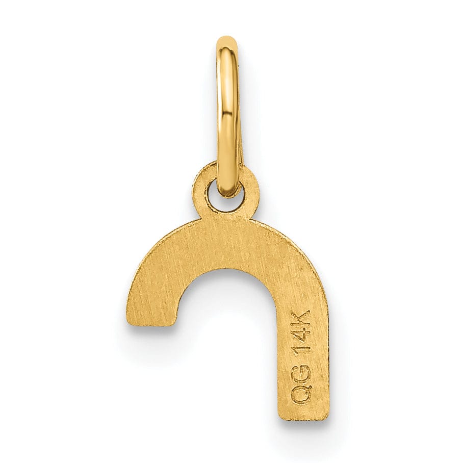 14K Yellow Gold Lower Case Letter R Initial Charm