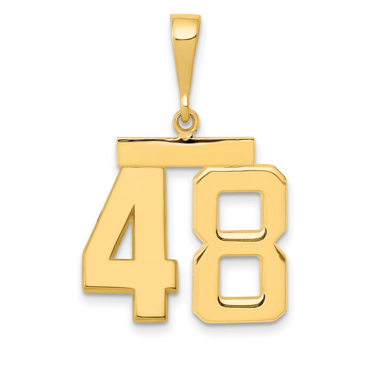14k Yellow Gold Medium Polished Number 48 Charm