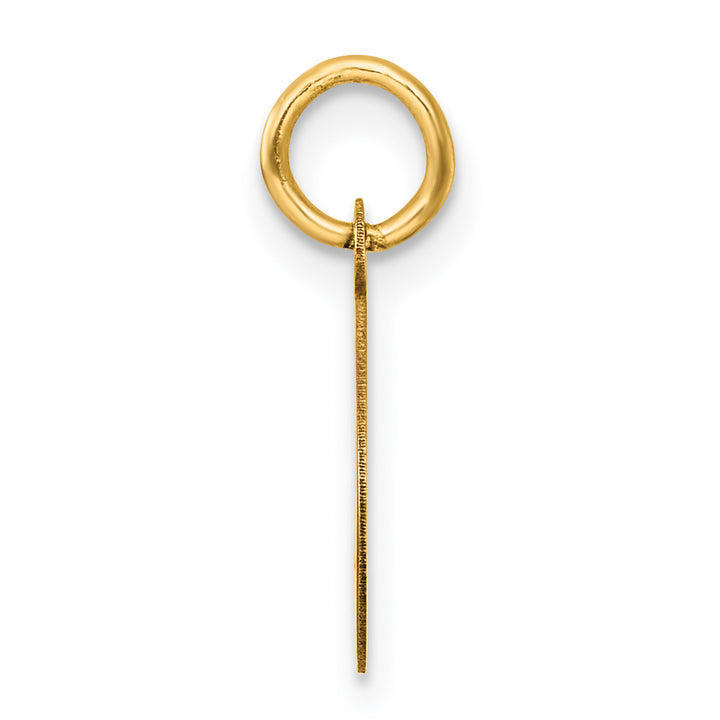 14k Yellow Gold Oval CLASS OF 2026 Charm