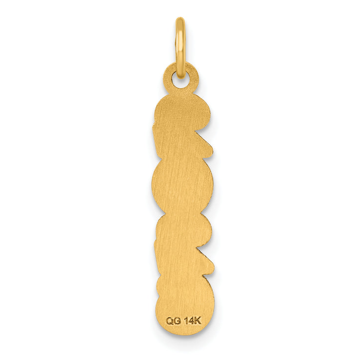 14k Yellow Gold Polished Satin Finish Vertical 2026 Charm