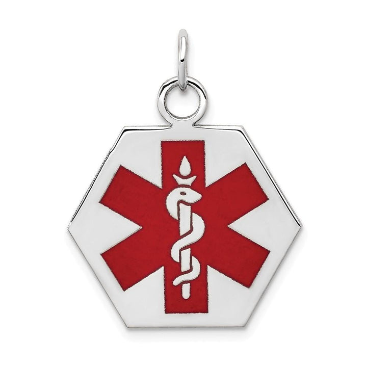 14k White Gold Medical Alert ID Charm Pendants