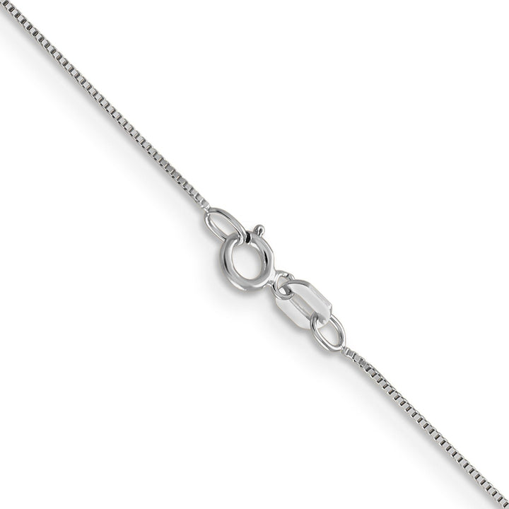 Leslie's 14K White Gold .5 mm Baby Box