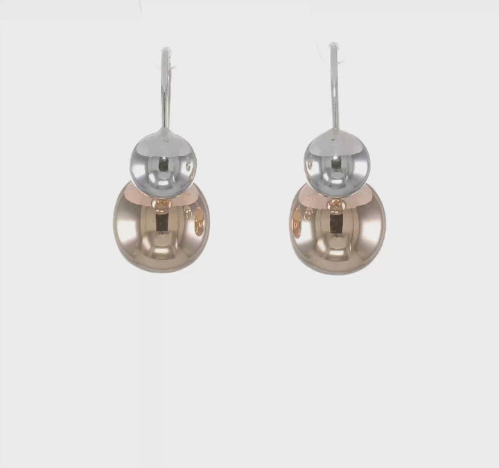 Silver and Rose Gold-tone Dangle Earrings