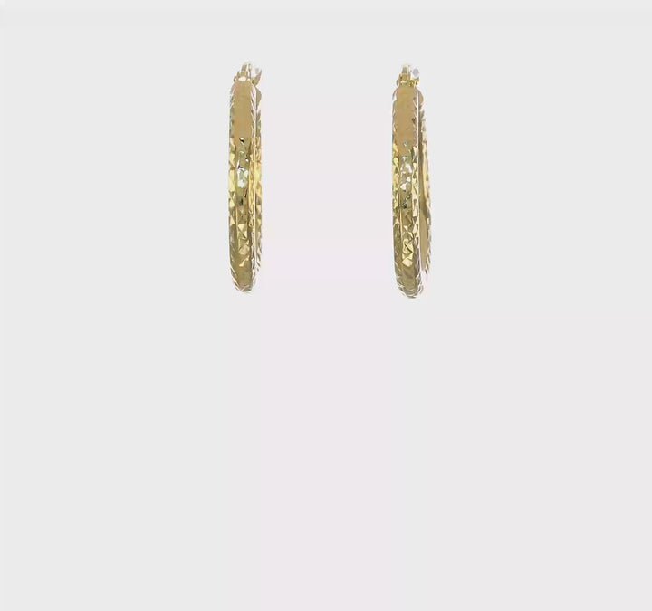 10k Yellow Gold 3MM Polished Round Hoop Earrings