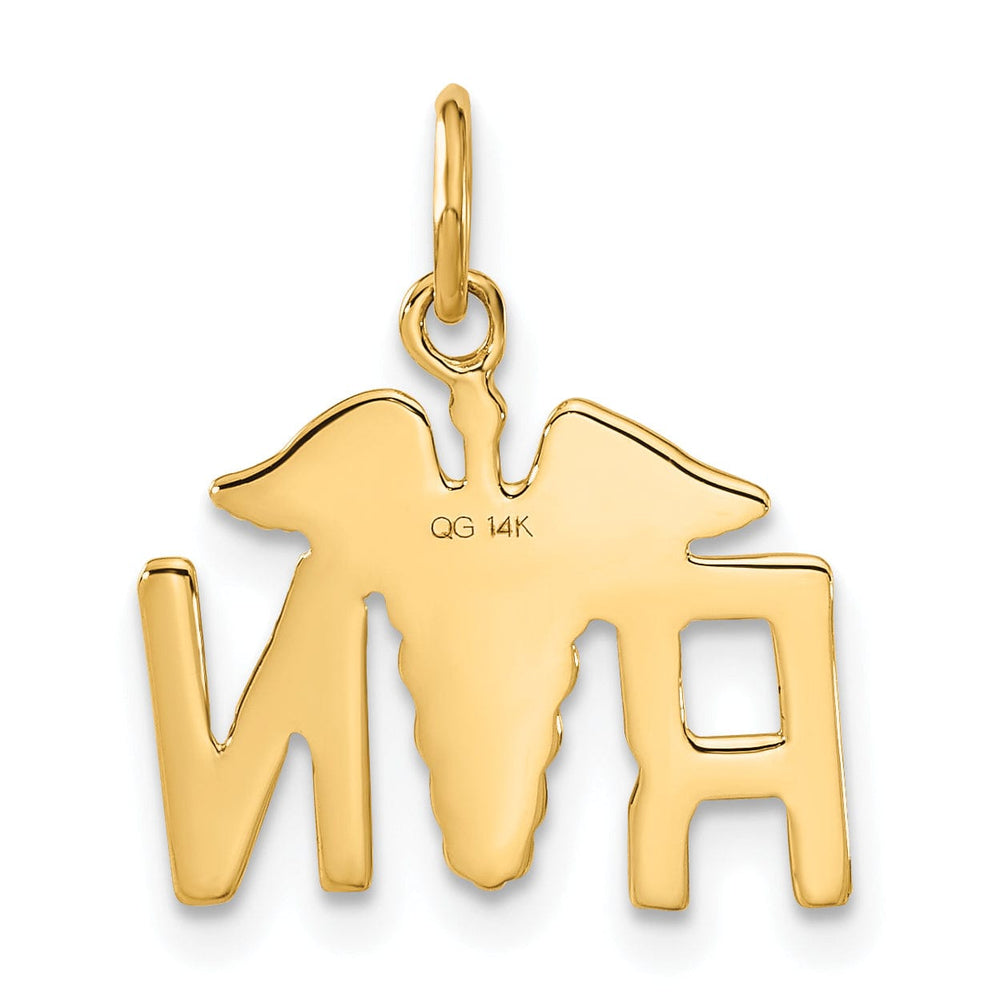 14k Yellow Gold Registered Nurse Charm Pendant