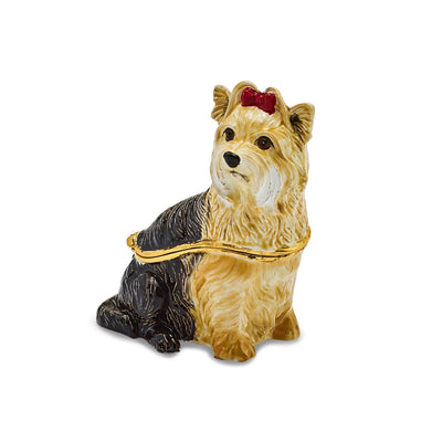 Bejeweled Multi Color Finish KIMBERLY Yorkshire Terrier Trinket Box at $ 49.4 only from Jewelryshopping.com