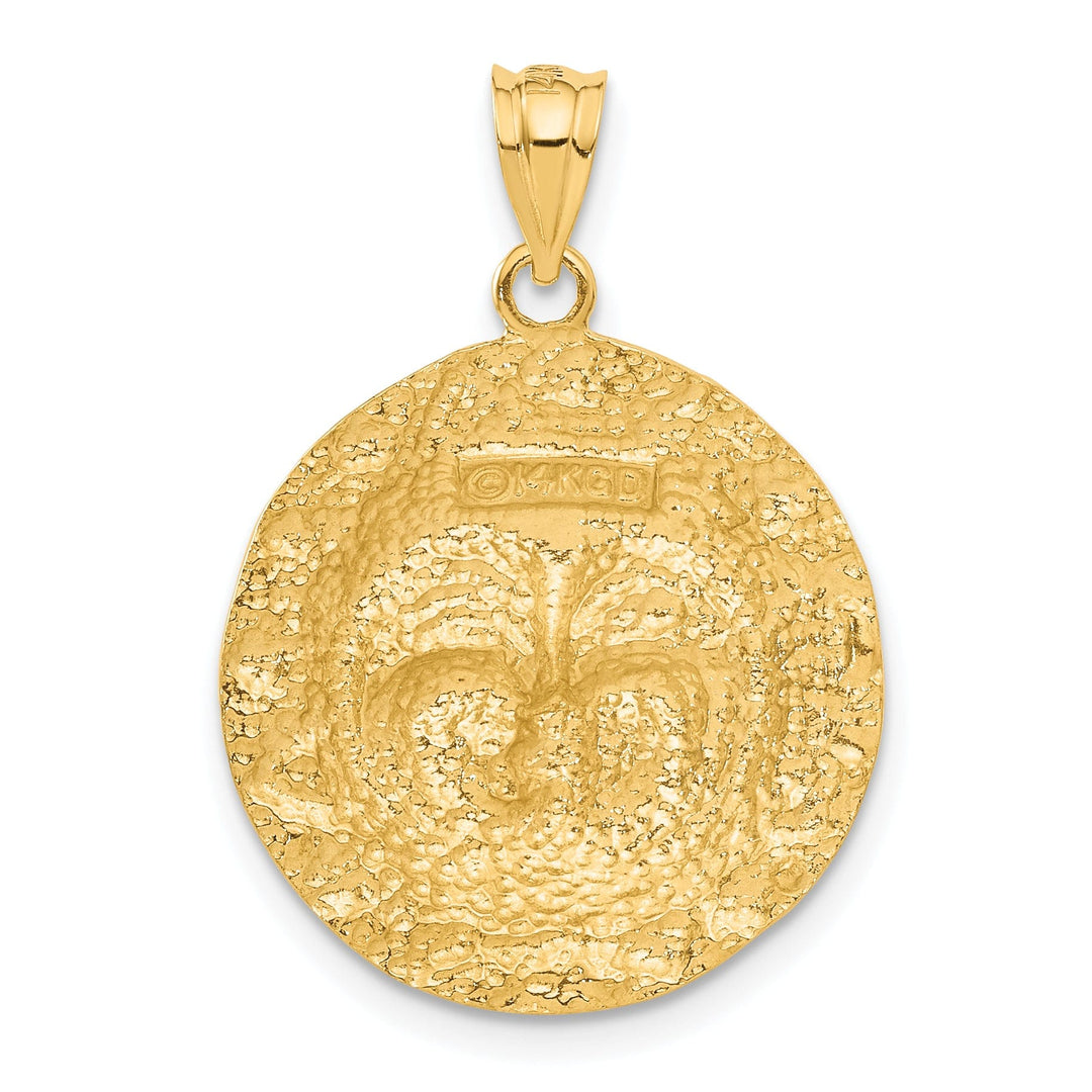 14k Yellow Gold Solid Satin Polished Finish Sun Smiling Face Charm Pendant