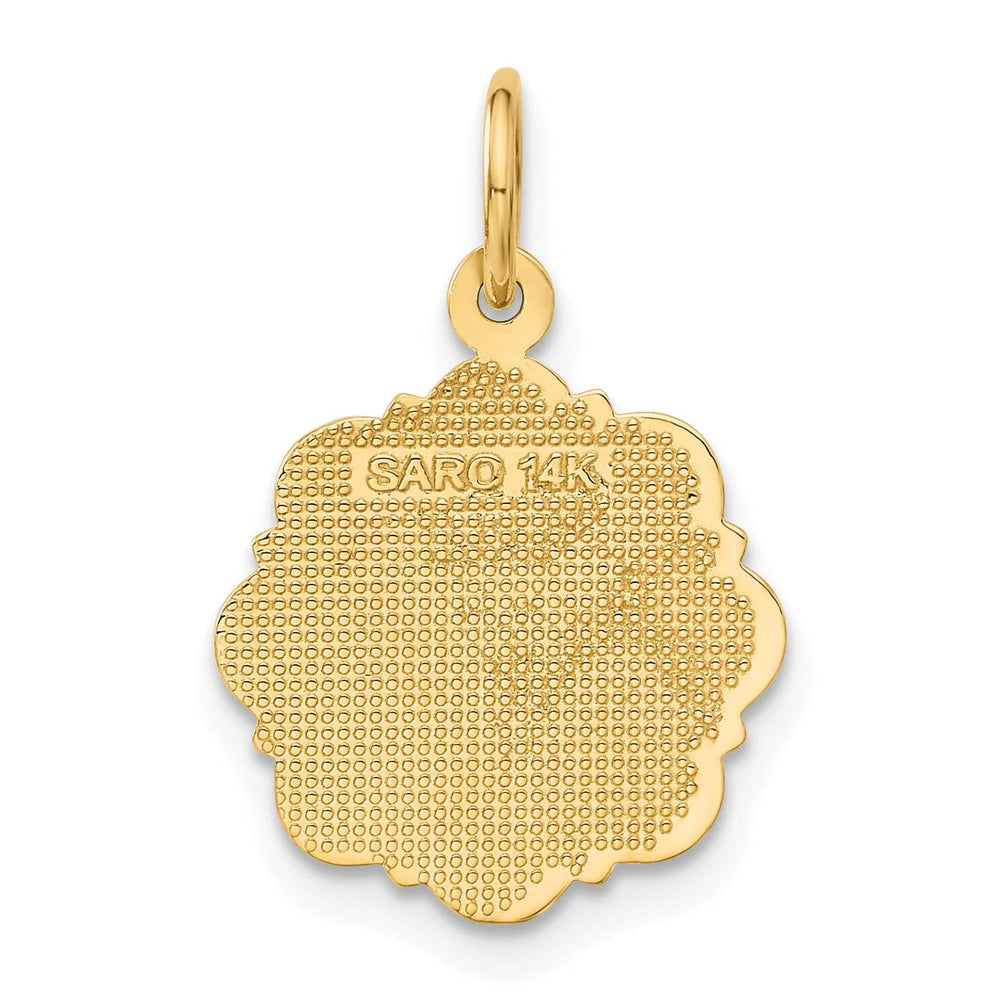 14k Yellow Gold Registered Nurse Disc Pendant