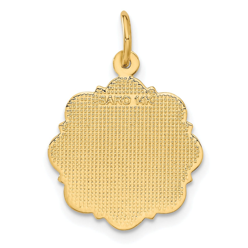 14k Yellow Gold Registered Nurse Disc Pendant