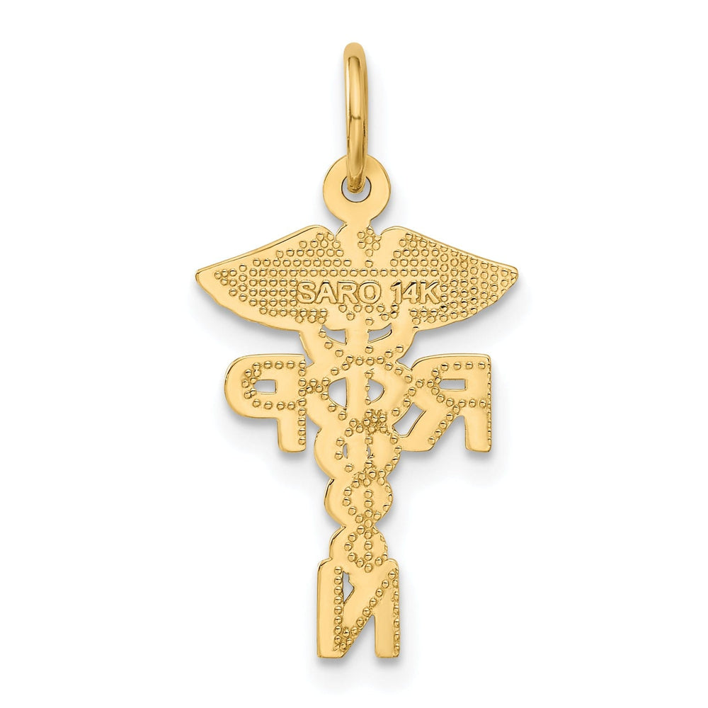 14k Yellow Gold Nurse Practitioner Pendant