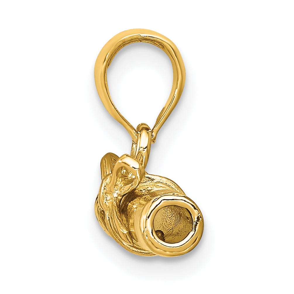 14k Yellow Gold Hollow Diploma Pendant