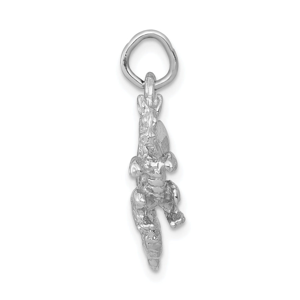 14k White Gold Solid Polished Textured Finish 3-Dimensional Dragon Design Charm Pendant