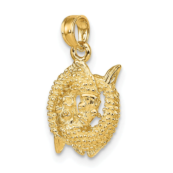 14k Yellow Gold Polished Texture Finish3-D Pisces Zodiac Charm Pendant