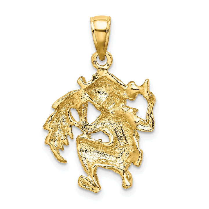 14k Yellow Gold Polished Texture Finish Large Size3-D Aquarius Zodiac Charm Pendant