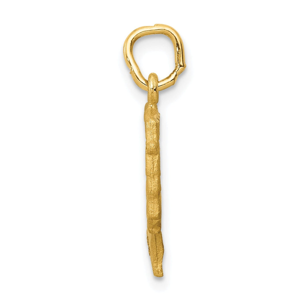 14K Yellow Gold Satin Front Finished and Polished Back Finish Queen Nefertiti Charm Pendant