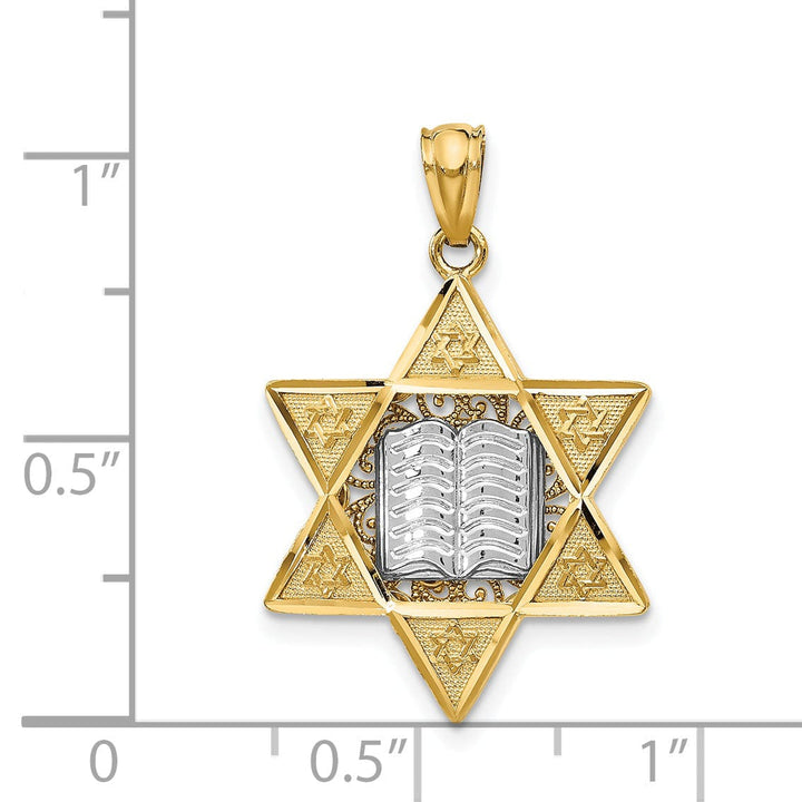 14k Yellow Gold Polish Texture Finish Star of David with Torah Pendant