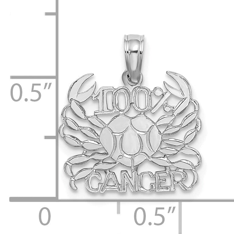 14K White Gold Polished Textured Finish 100% Zodiac CANCER Charm Pendant