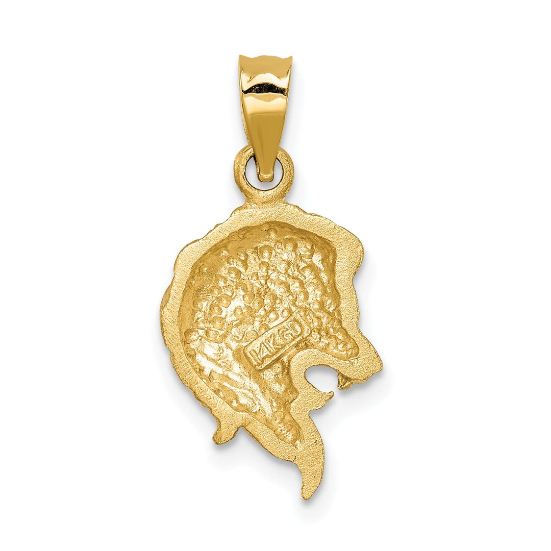 14K Yellow Gold Textured Solid Brushed Diamond Cut Finish Lion Head Design Charm Pendant