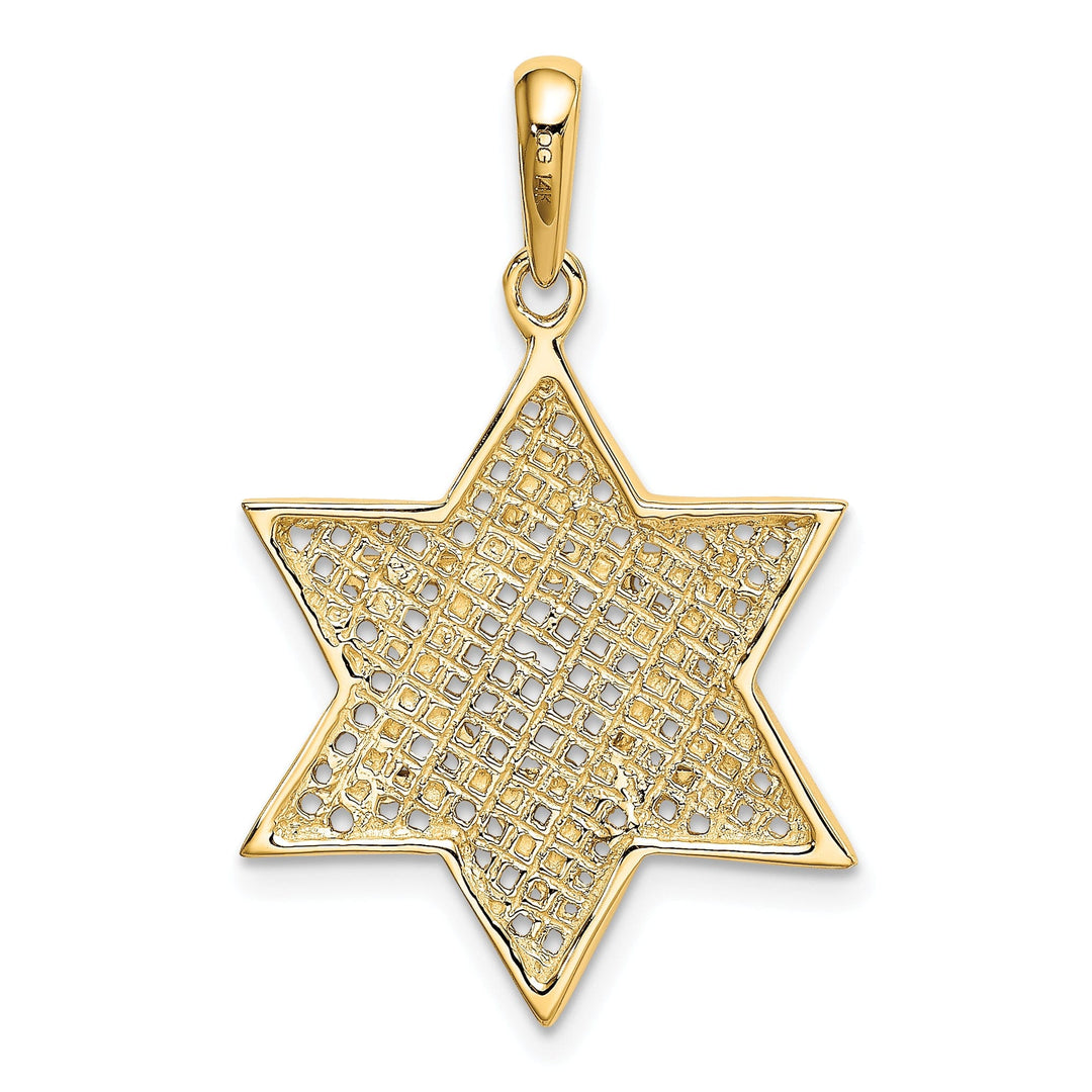 14K Yellow Gold Polished Finish Mesh Style Star Of David Charm Pendant