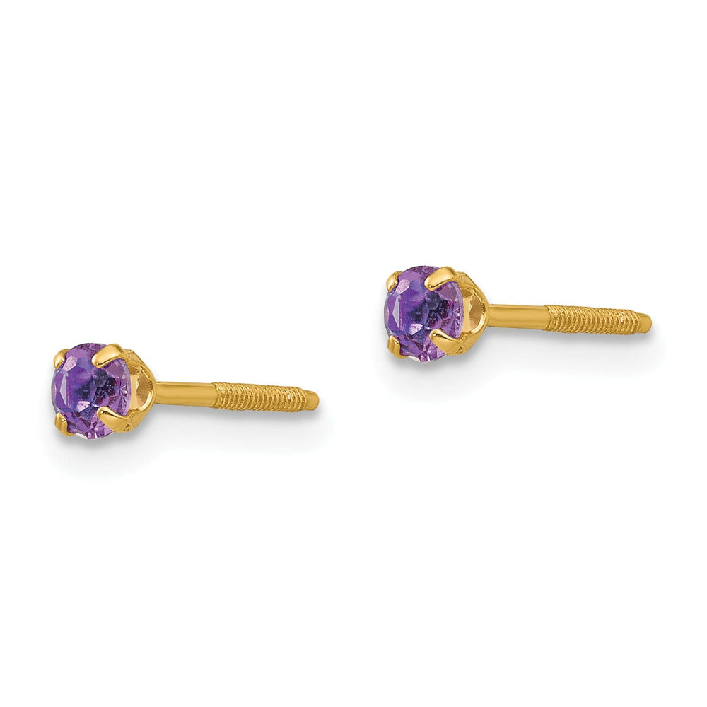 14k Yellow Gold Amethyst Birthstone Earrings