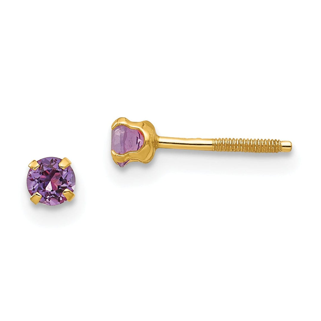 14k Yellow Gold Amethyst Birthstone Earrings