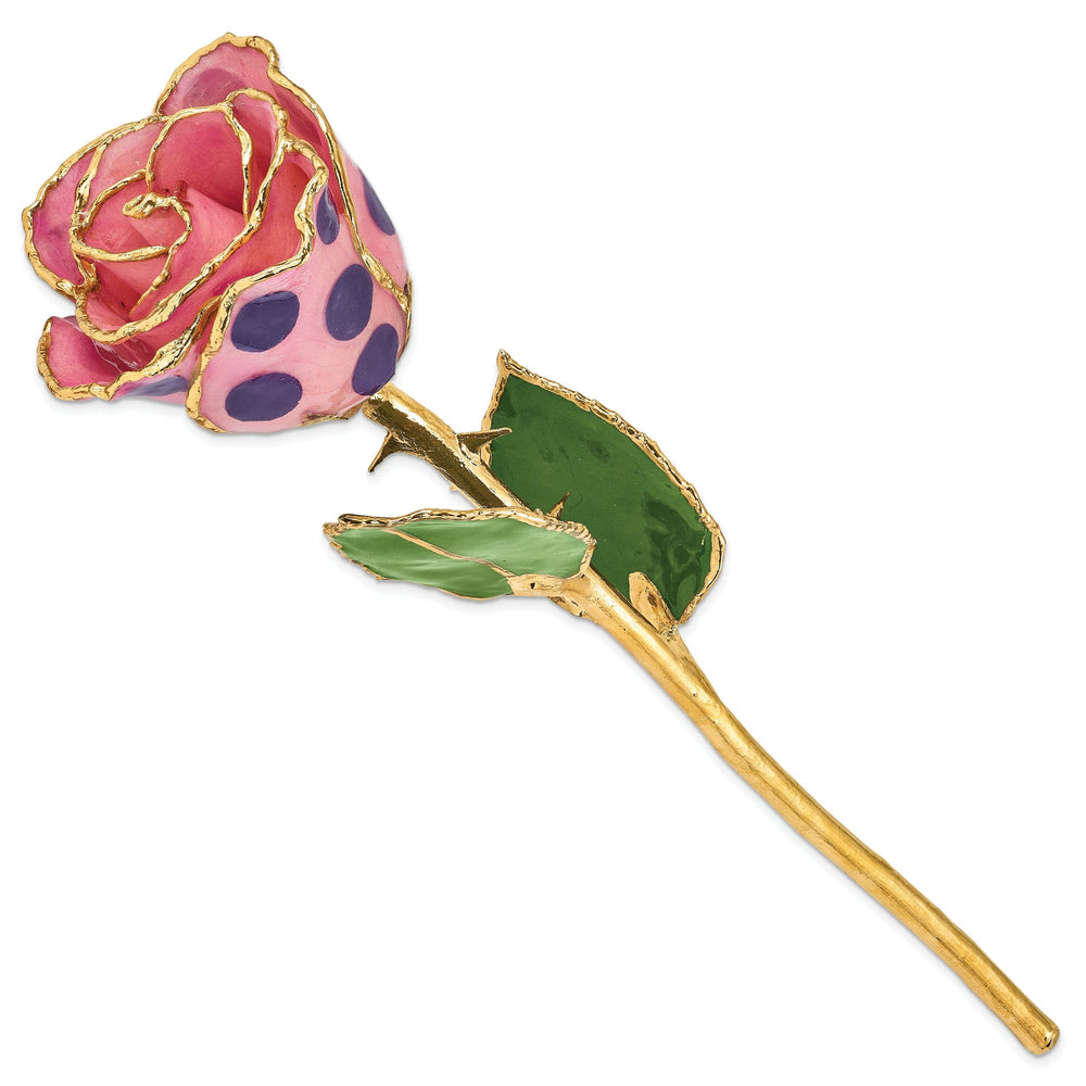 24k Gold Plated Trim Pink and Purple Dots Rose