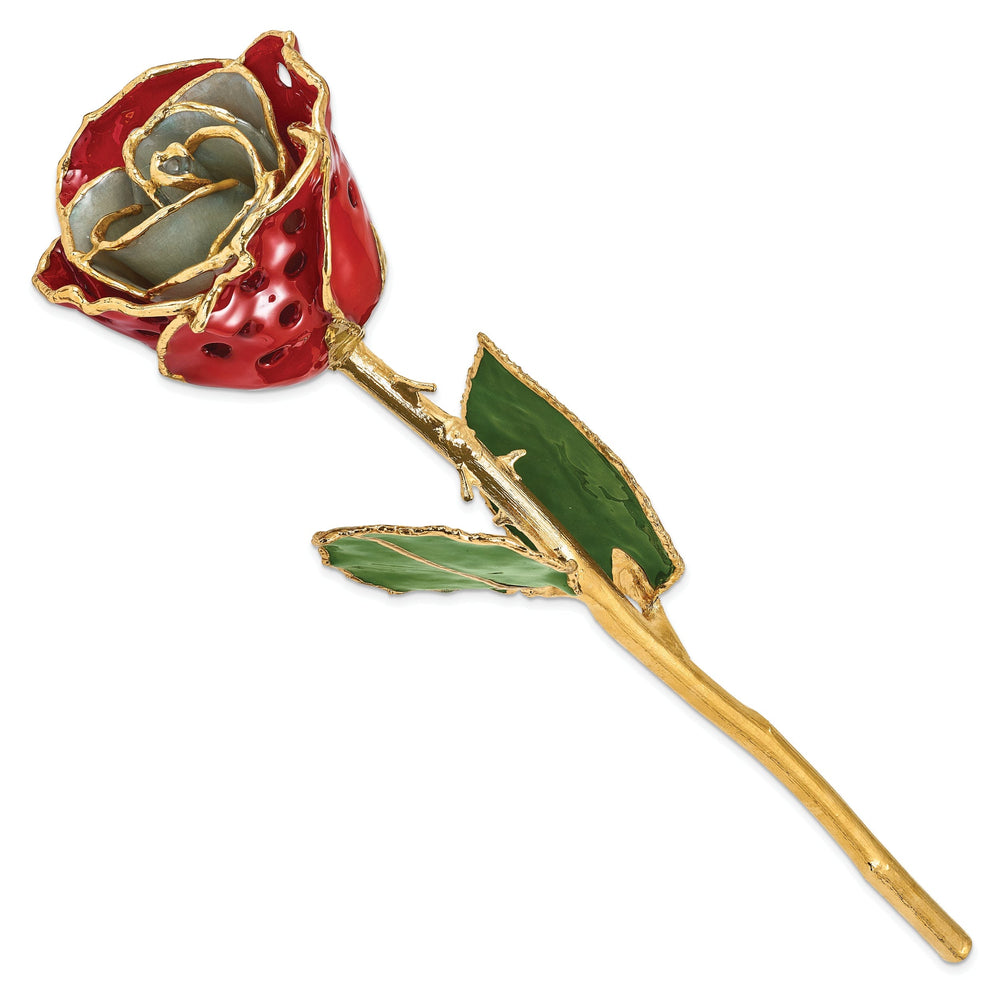 24k Gold Plated Trim White Red with Holes Rose