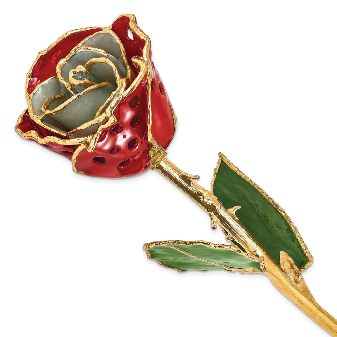 24k Gold Plated Trim White Red with Holes Rose