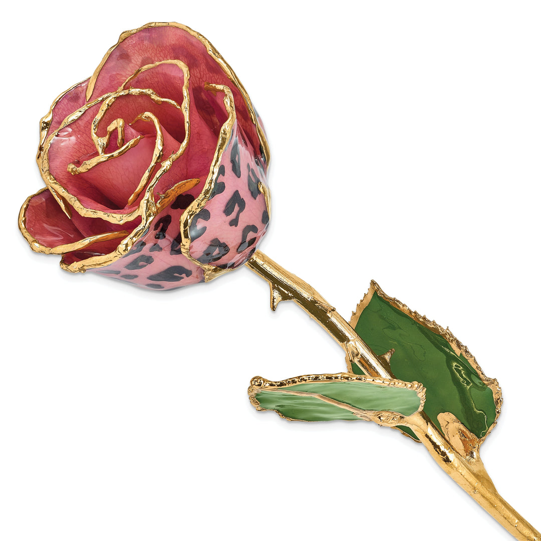 24k Gold Plated Trim Pink and Black Leopard Rose