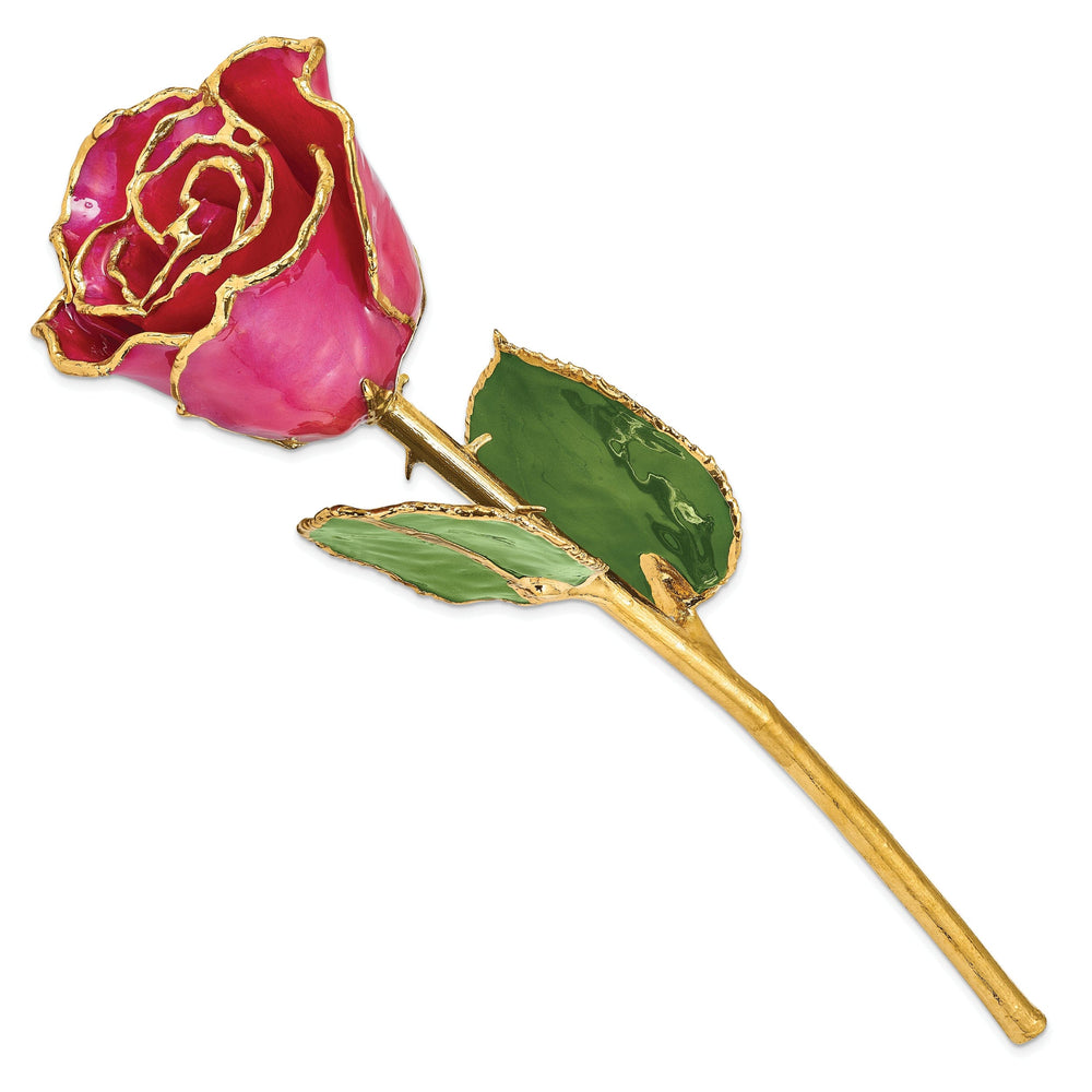 24k Gold Plated Trim Plum Fuchsia Rose