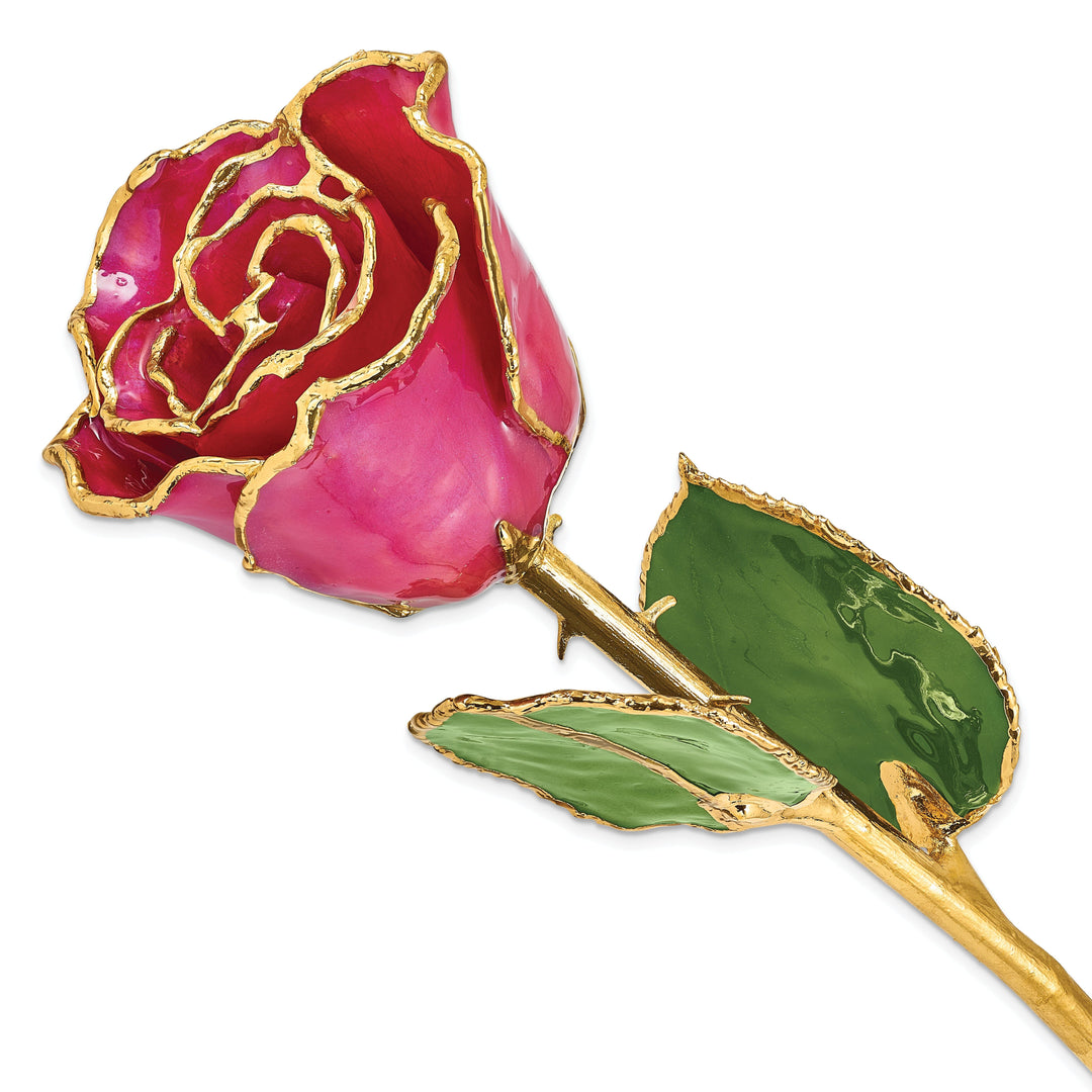 24k Gold Plated Trim Plum Fuchsia Rose