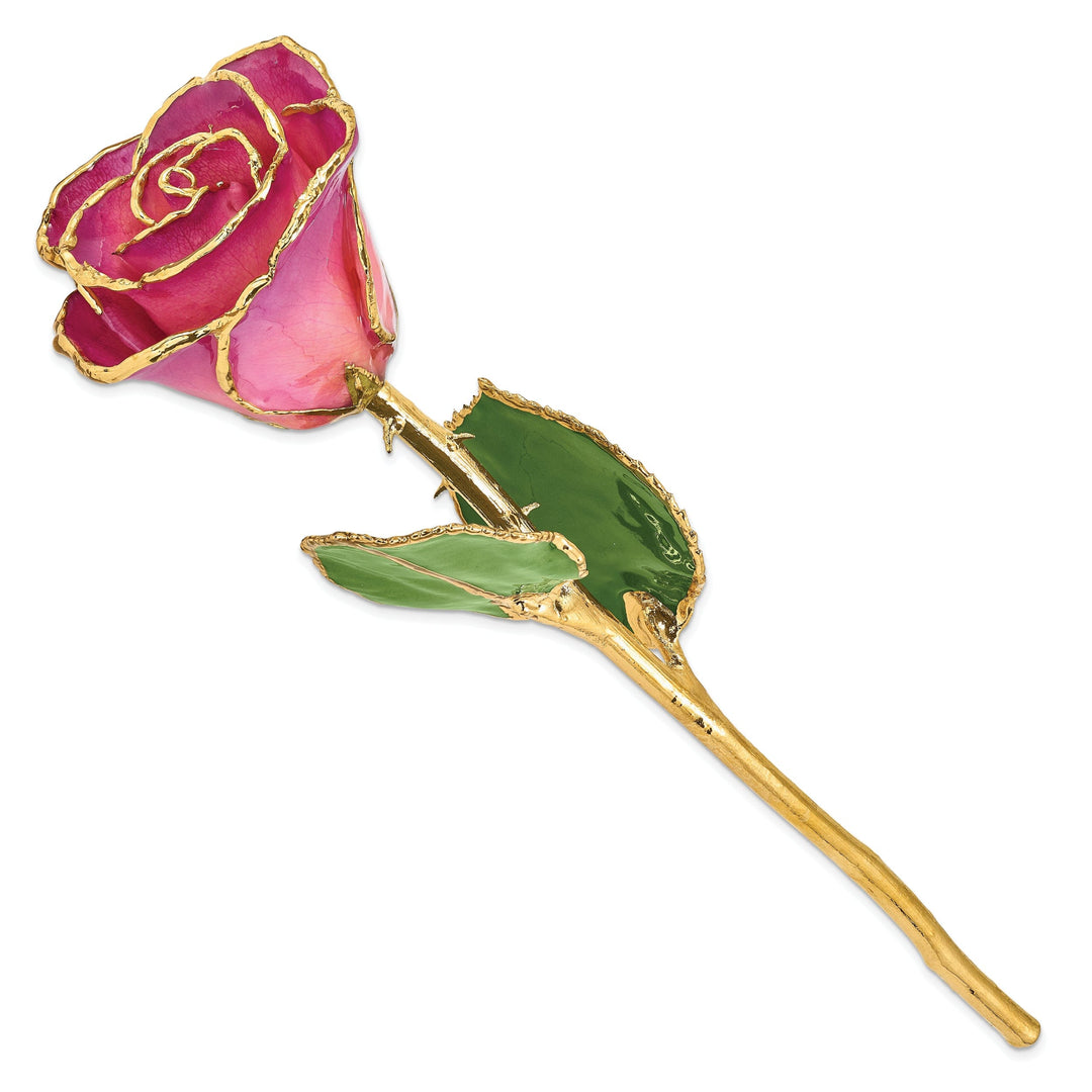 24k Gold Plated Trim Pink Picasso Rose