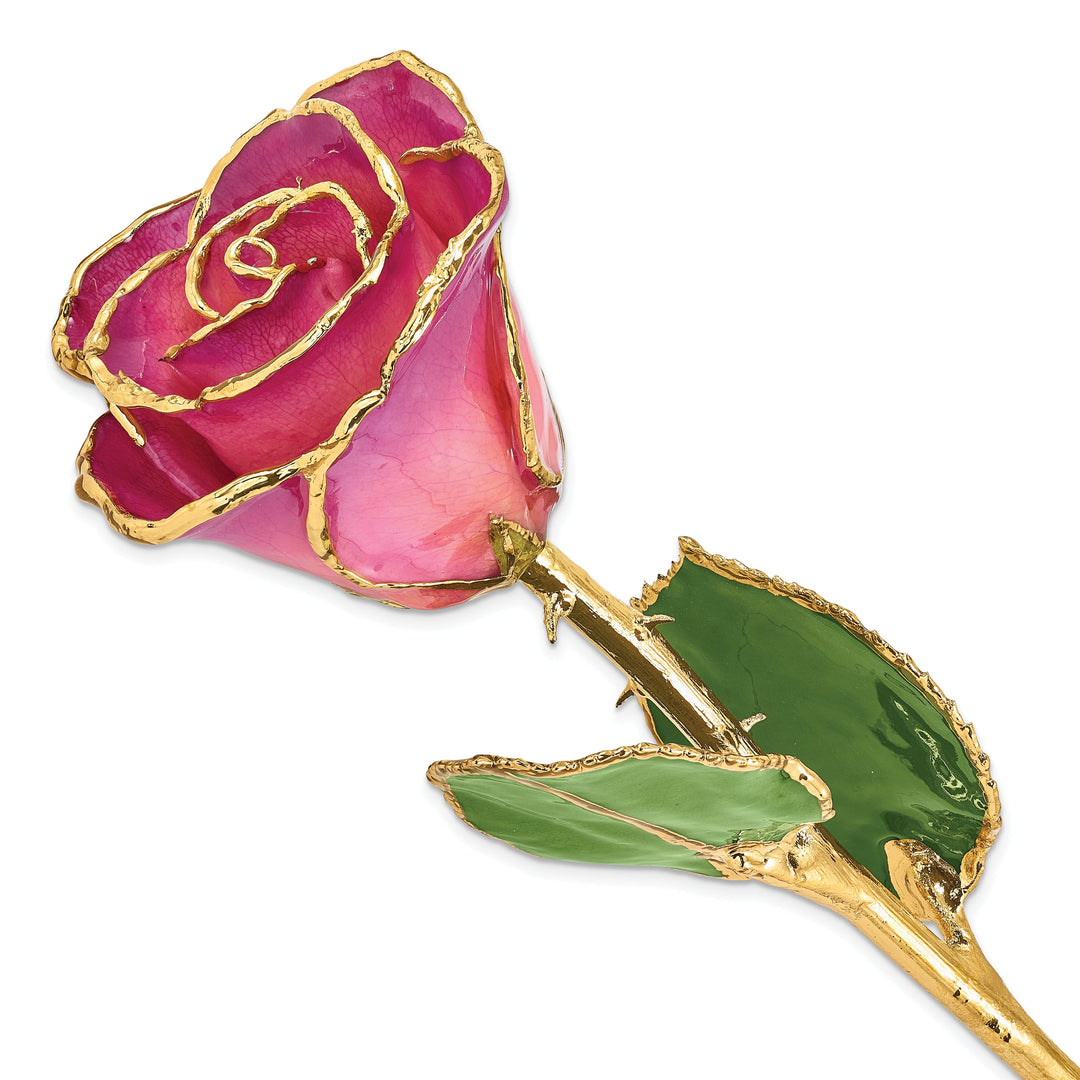 24k Gold Plated Trim Pink Picasso Rose