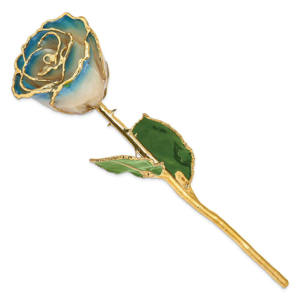 24k Gold Plated Trim White Navy Blue Pearl Rose